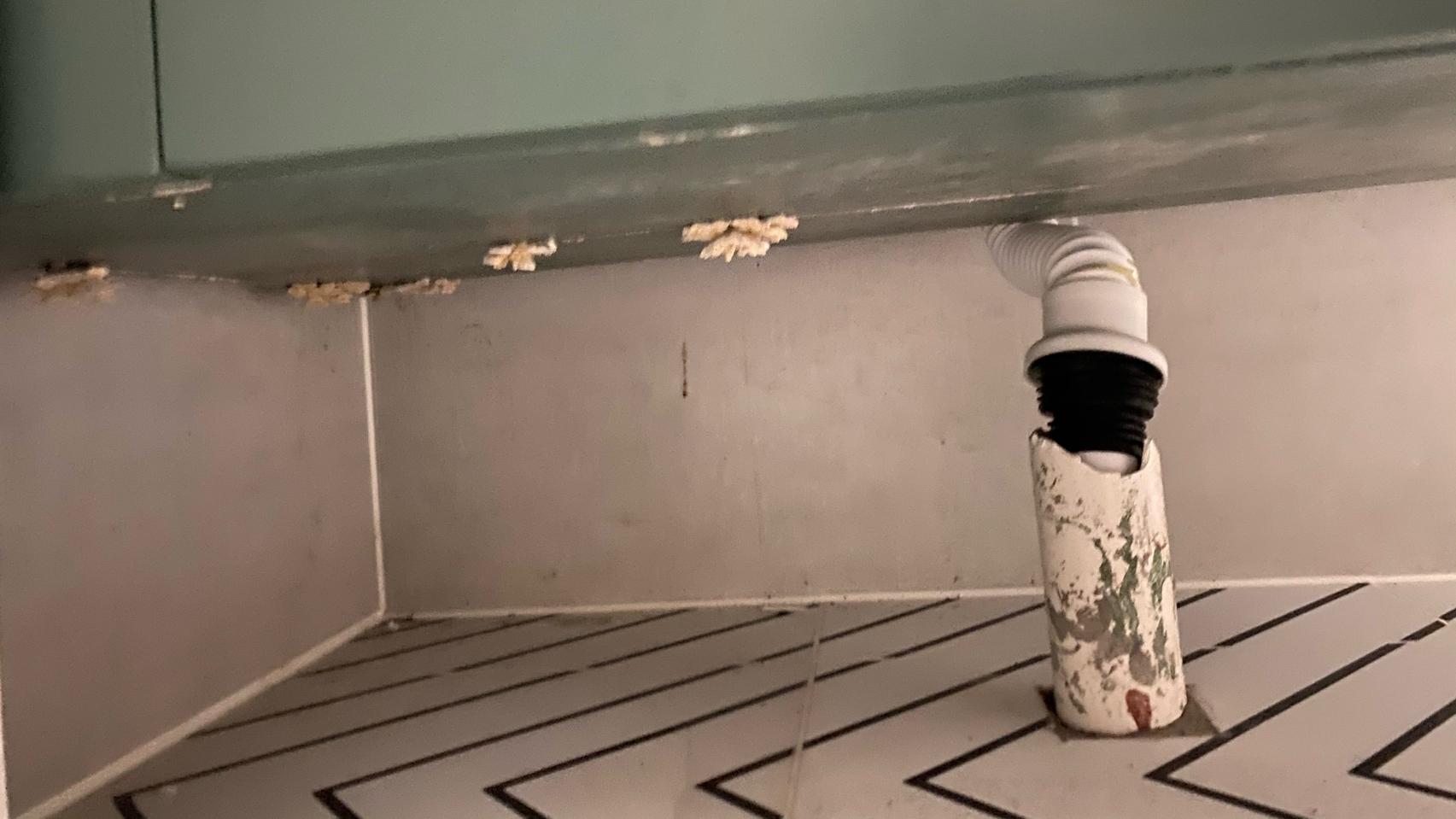 若再装修，卫生间一定坚持“8不装”，不是矫情，而是经验和教训