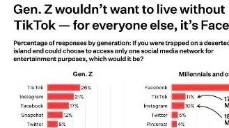 阿里巴巴|TikTok最新美国用户数据洞察