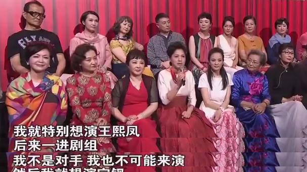 袁玫|袁玫多次换角终于成就最“守分”袭人，王扶林：她身上有大姐姐的风范