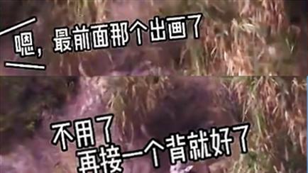 香港小姐|“她长这么丑，是不是有黑幕？”