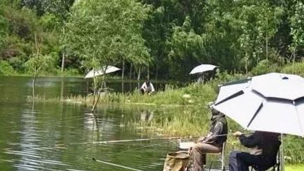 安徽|愤怒！安徽多名管理人员推搡钓鱼者？男子被强行按在水里险丧命！