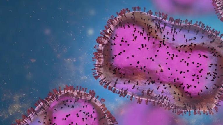 OxfordNanopore发布用于DNA和RNA病毒快速宏基因组表征的全新方案