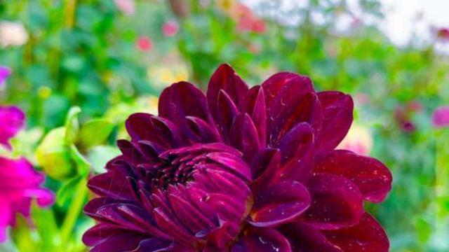 |好好爱自己，是女人终生浪漫的开始