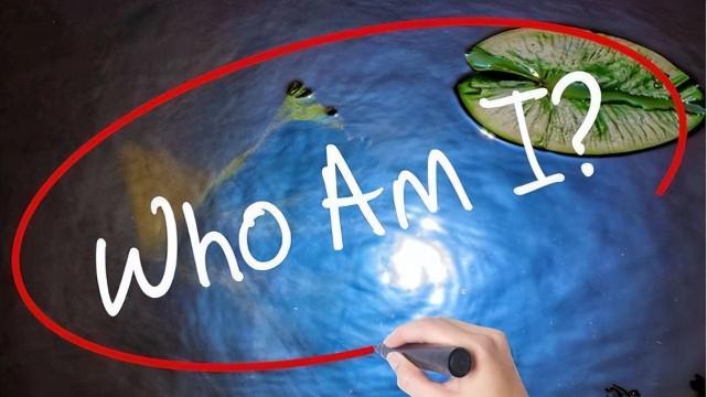 你到底是谁？一个看似简单的问题实际上如此复杂！