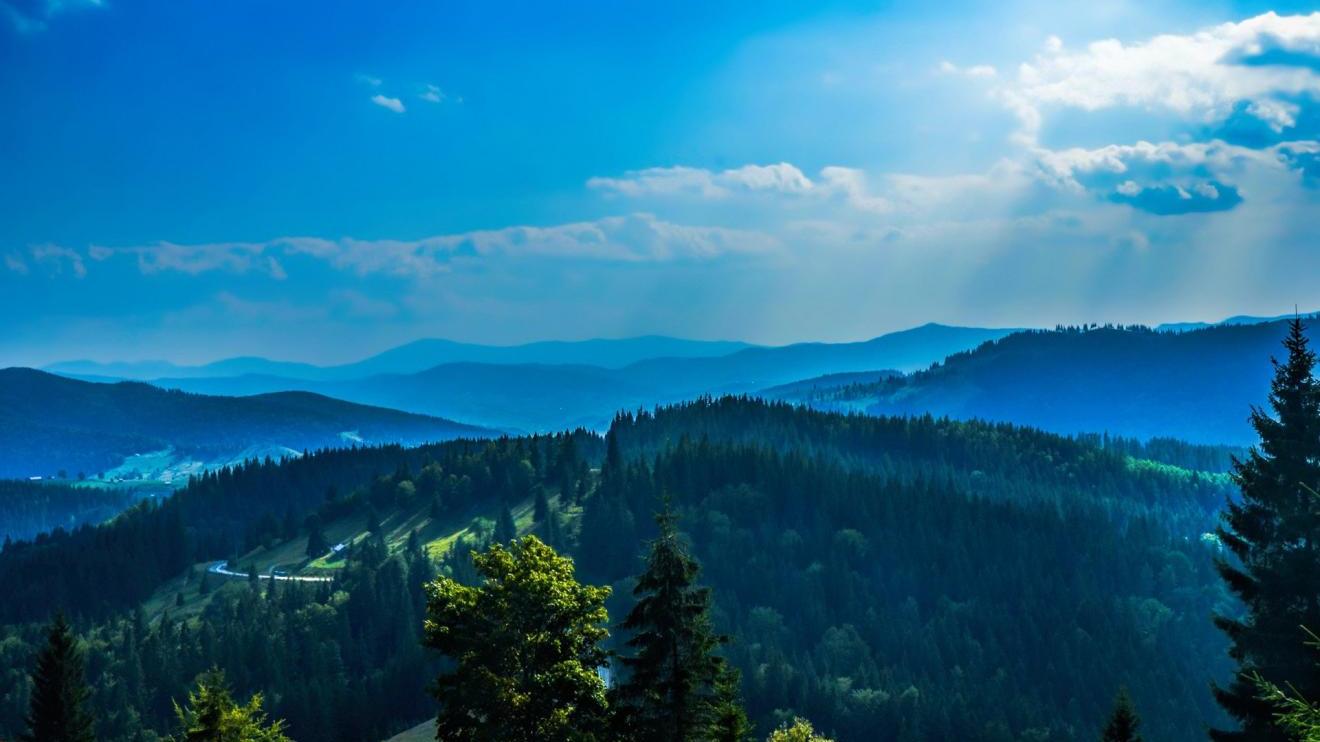 |职场上，这些都是“人脉”，能够有效提高你的竞争力