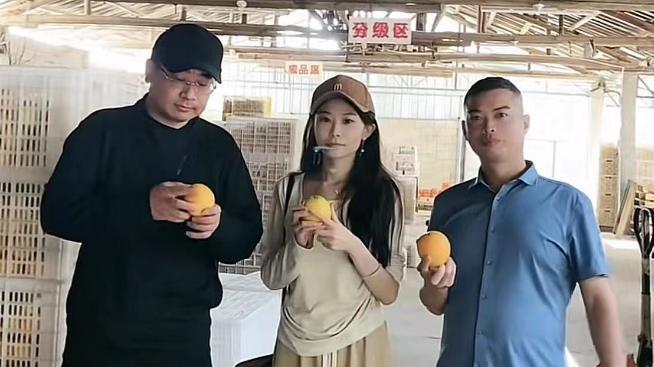 许敏|吉祥三宝分走田家人气，许敏开始制裁田家？田静携全家展开反击