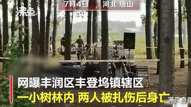 唐山杀人案，死者是不法分子的爆料人？