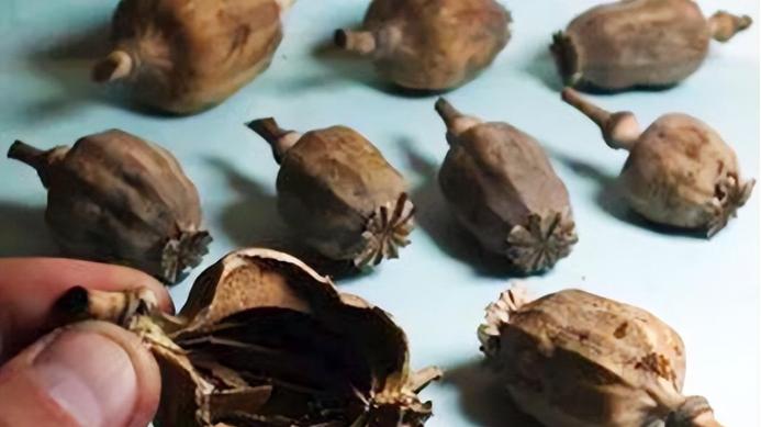 2015年四川一名小伙为参军去做体检，结果政审不合格，小伙：我没有吸毒，只在当天早上吃了