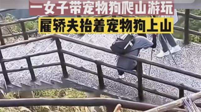 “雇轿子抬狗上山”被批侮辱人 轿夫：不稀奇，游客出钱，我们出力