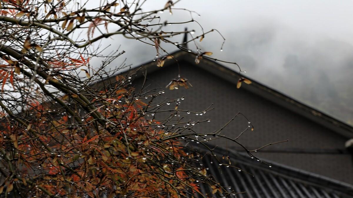 今年8月7号立秋，老人说今年是“晚立秋，脱衣秋”，有啥说法？