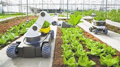 数据库|机器人技术正在农业领域大显身手