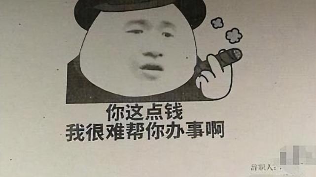 00后|“一个敢写，一个敢批”，00后大学生的离职申请走红，面子话都省了