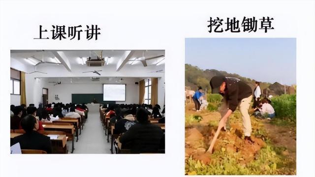 求职|农大的“挂科理由”多奇葩？种的西瓜被偷吃，老师也爱莫能助