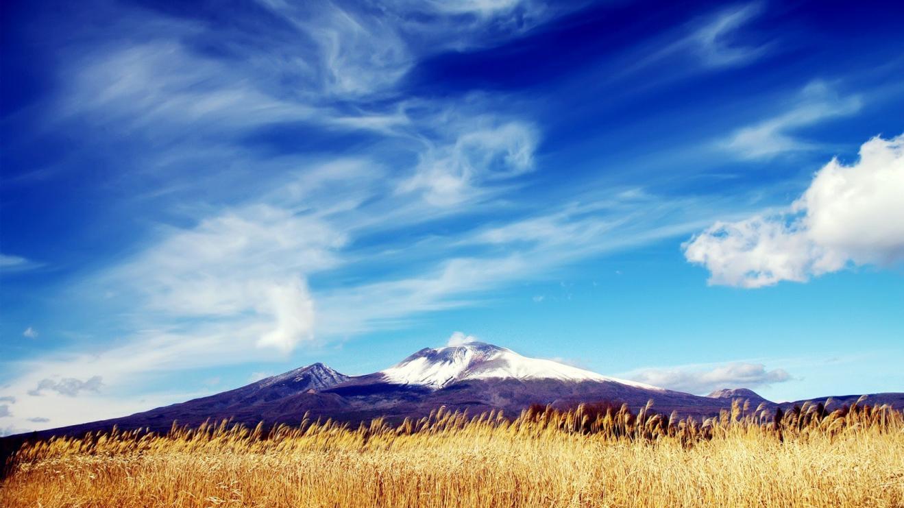 |职场竞争激烈，如果只是单纯的在职场上混