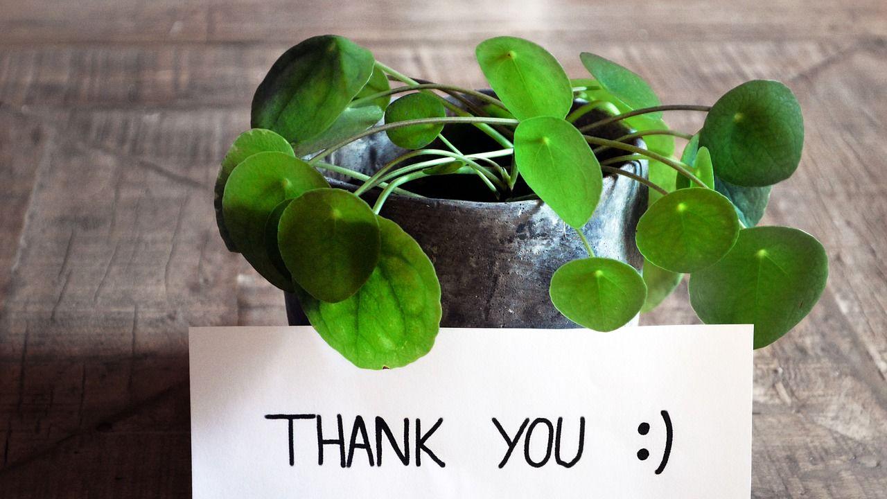 |这些网站有多好用，你懂的