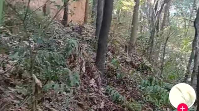 江西高一男生离奇失踪一个月！坊间充斥各种阴谋论！