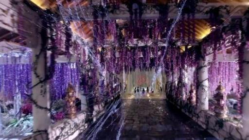 香蜜沉沉烬如霜|《香蜜沉沉烬如霜》原来是这样一篇短篇仙侠小说