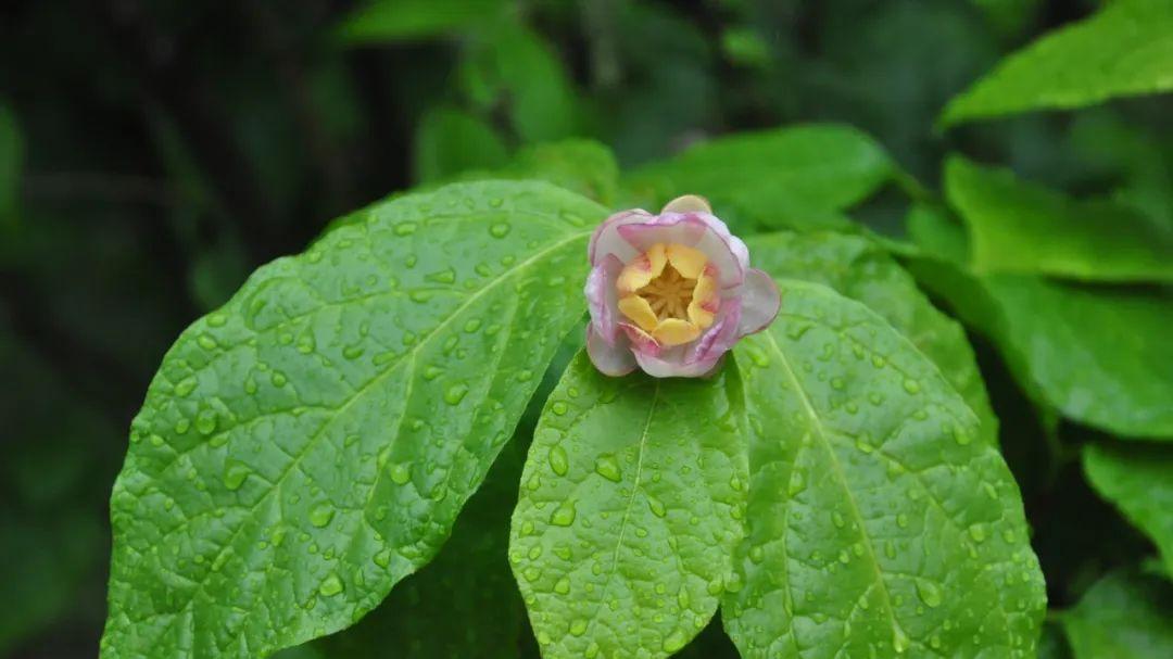 教练|民间借贷之借条无效？你怕不是职业放贷人吧……