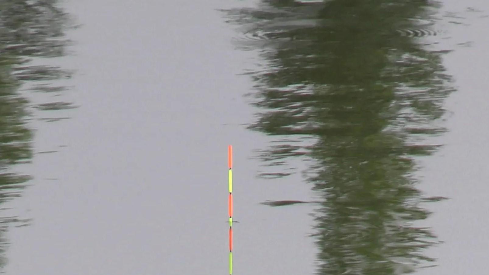 |钓鱼调浮漂只是基础，会看浮漂才是关键，新手学会看6个漂相足够