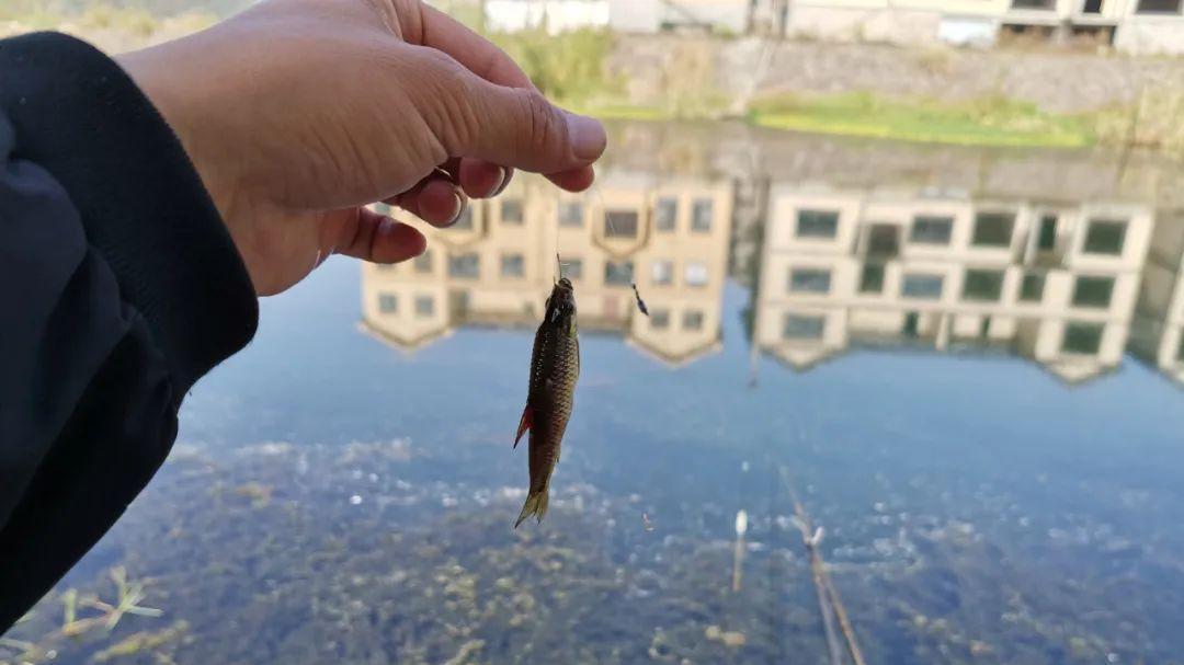 夜钓|野钓最闹心的7种情况，都是老钓友不愿提起的经历，你遇到过吗？