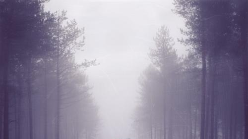 你能分清现实和梦境吗？什么是现实什么是梦境？