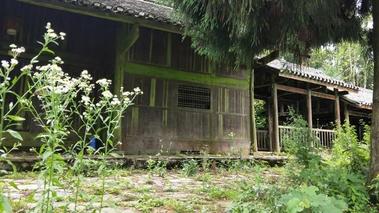 家里出现这些情况，要及时处理！