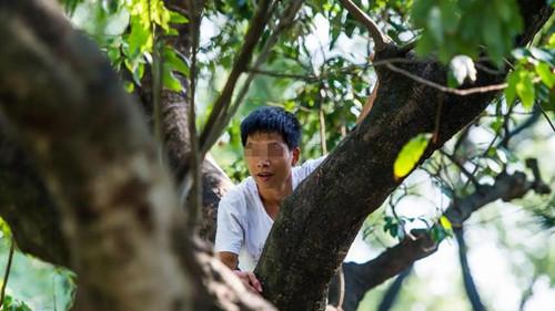 “他偷摘荔枝，摔伤了凭啥让我赔8万？”男子起诉果农，法院判了