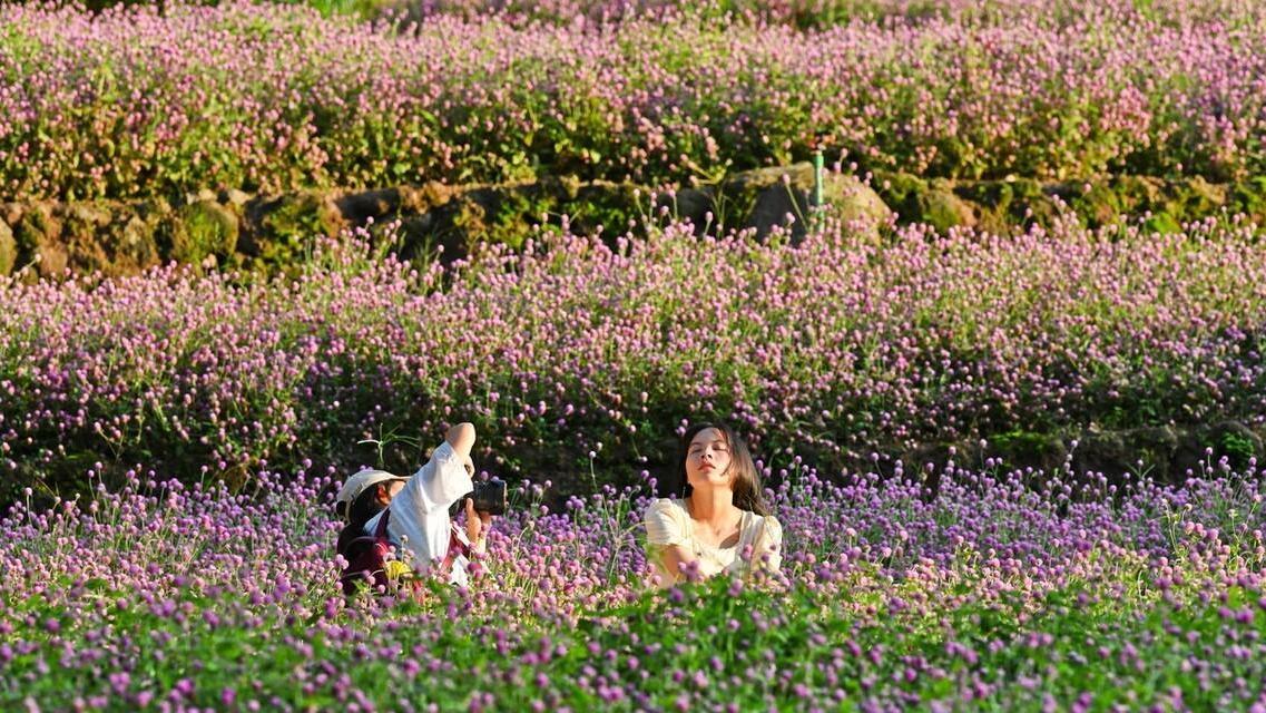 创业|对不起，我要回去上班了