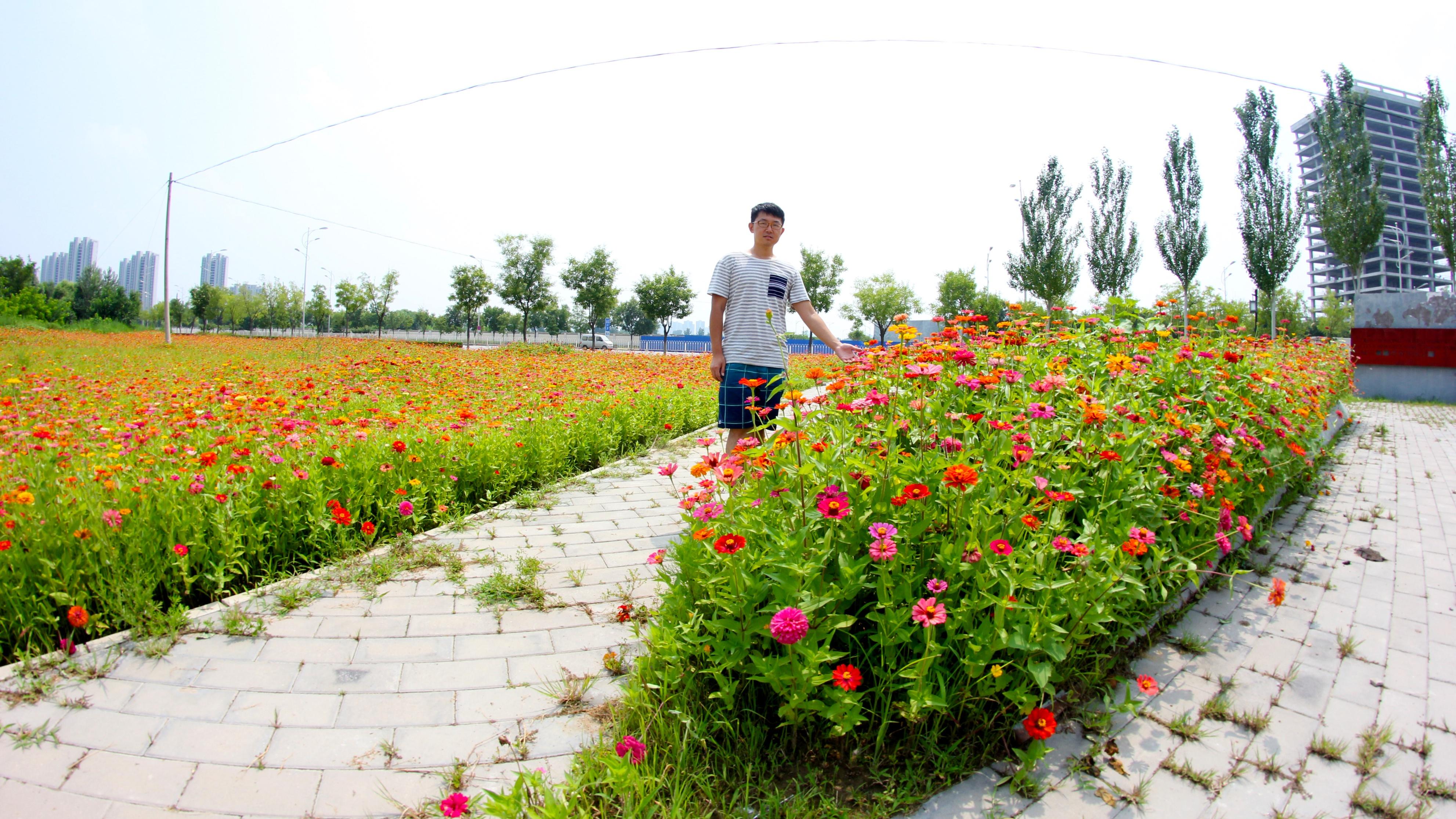 禾木|北京治愈系田园花海，免费观赏，就在这个空无一人的公园