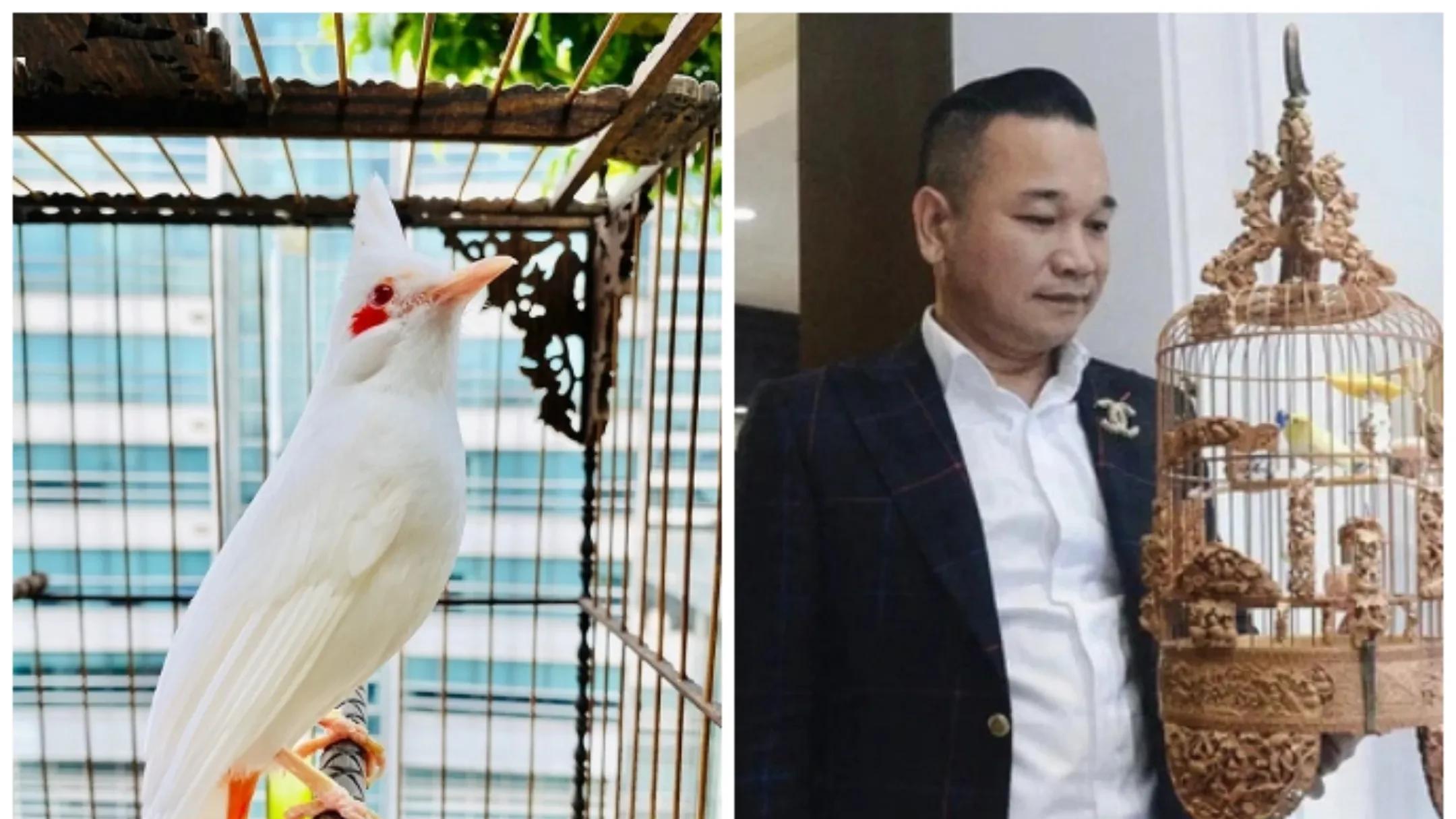 2018年他花178元买下一只怪鸟，结果2年后出价14万都不肯卖