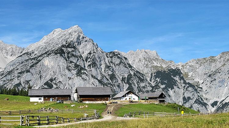 |人生七场戏，演好你自己（精辟）