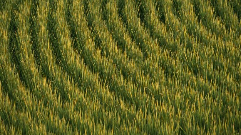 穿衣搭配|8月份，好运连连，财势极好，发横财的3个星座