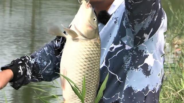 灵敏度|中大鱼不是正口，还总是切线？这样调整，大鱼顺利上岸