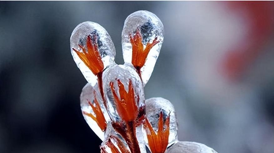 |啥日子出生的人，低谷期多努力，改变命运迎接人生红利，福气深厚