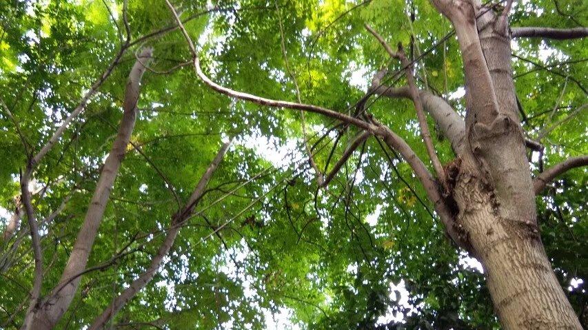 |离婚女老板要包养我，说每个月给我10万元