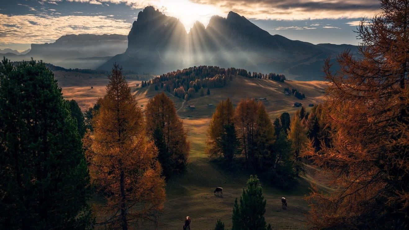 莱山|职场人要学会“装傻”了，老板的下属都对这位员工有意见