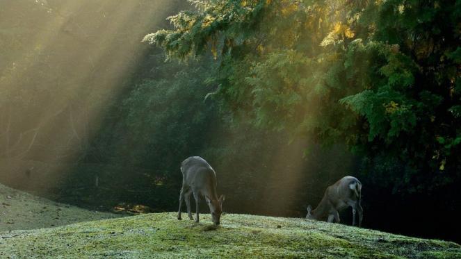 求职|关于找工作和擅长做什么，我用了三年时间