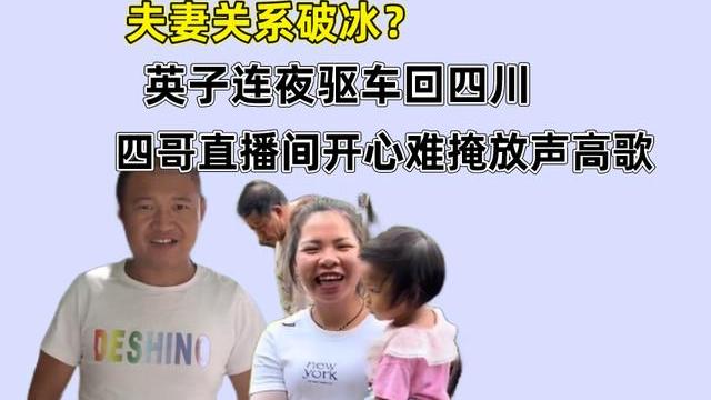 夫妻关系破冰？英子连夜驱车回四川，四哥直播间开心难掩放声高歌