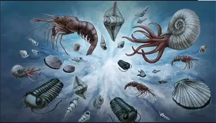 被忘却的往事：曾经，地球的气候和冥王星很相似