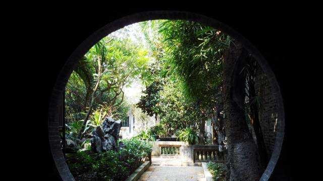 云南|影响世界的中国植物——园林篇