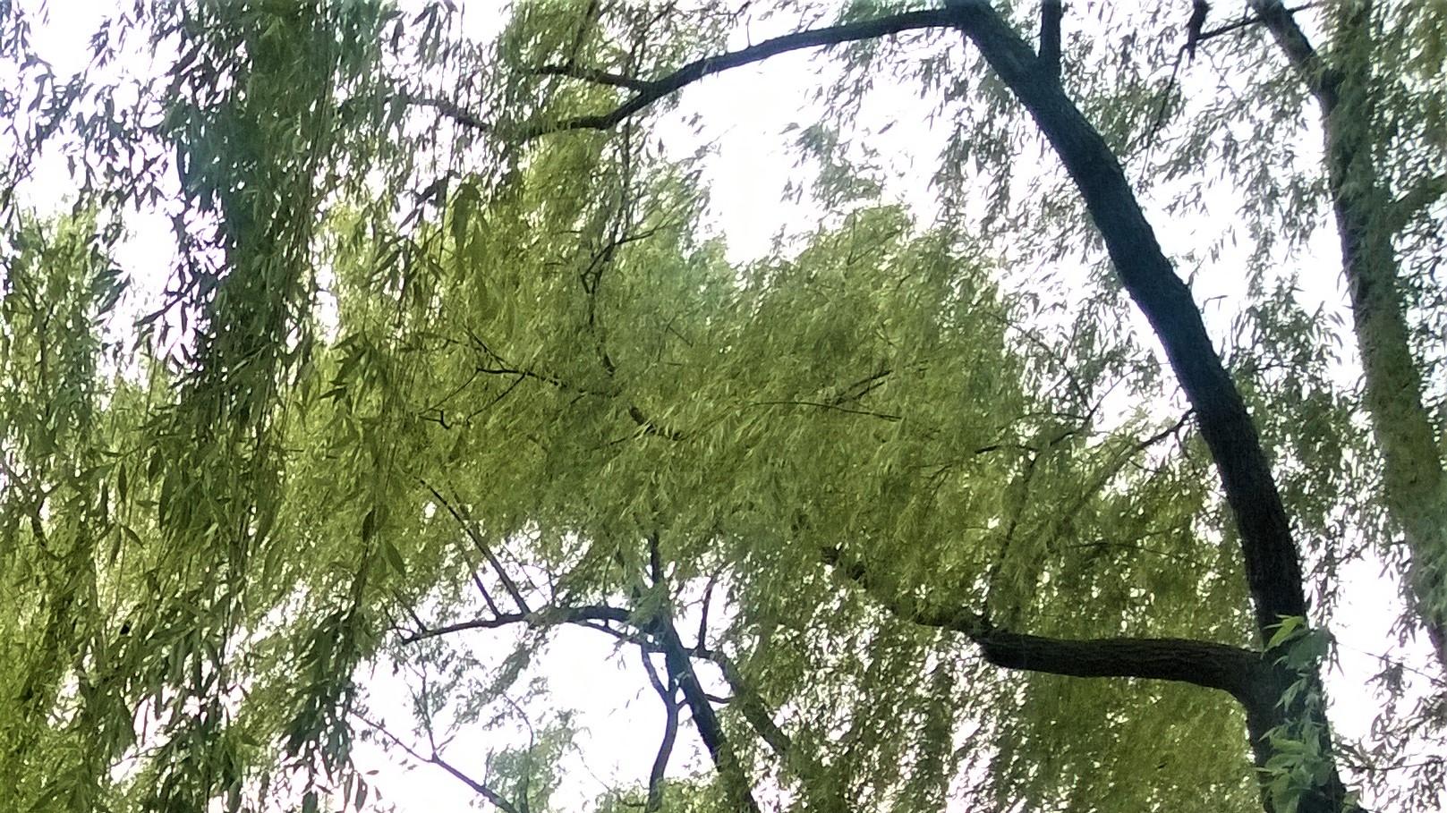 |职场人，不要只埋头工作