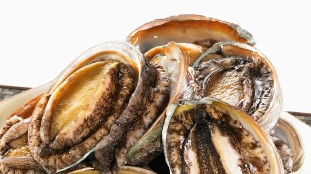 鲍鱼成濒危物种！人类吃货太厉害？1550物种新进濒危物种