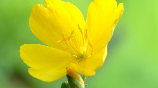 马甲|一个贪色，一个贪钱，谁也没有好下场