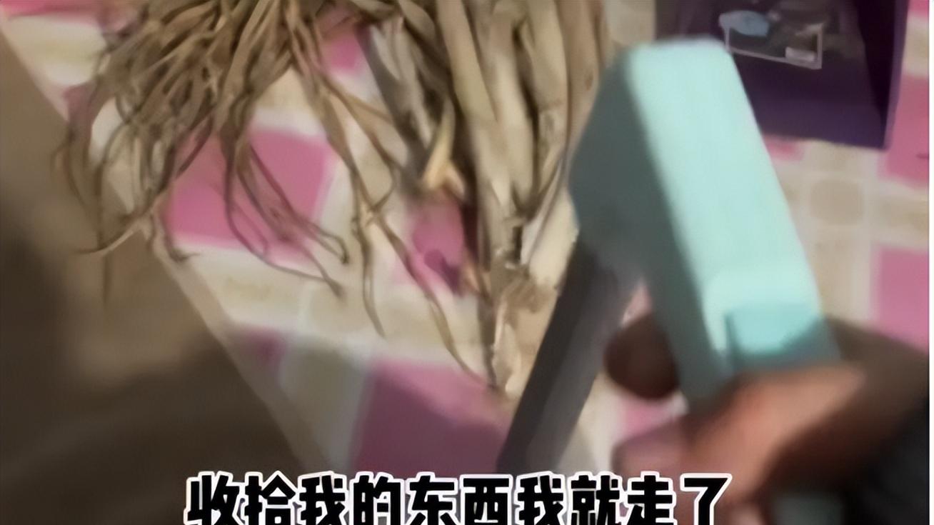 原来东北也有重男轻女，家长让女生给哥哥买房，真乃“甩锅高手”