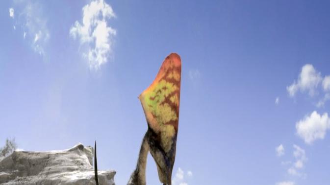 翼龙的祖先是什么样的？他们如何进化出飞行本领的？