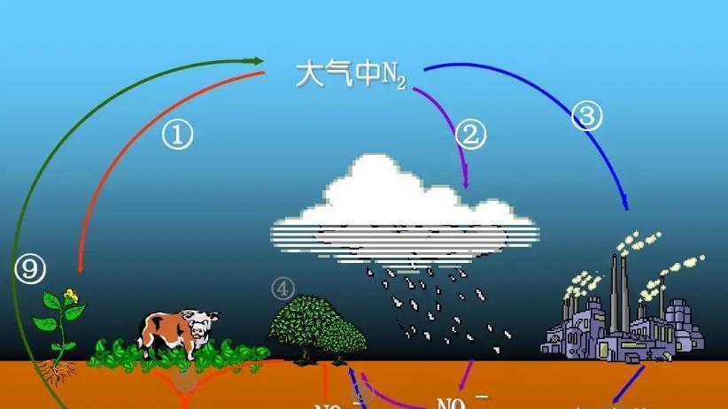 地球上曾有上千亿人埋进土里，难道泥土就是由腐尸构成的吗？