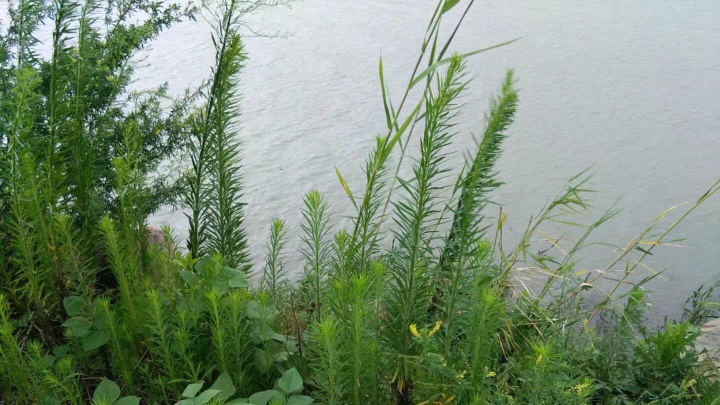 男子到山泉里洗澡，发现神秘洞穴