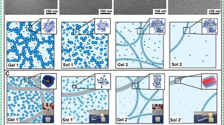 《Science》稀释诱导超分子凝胶体系！