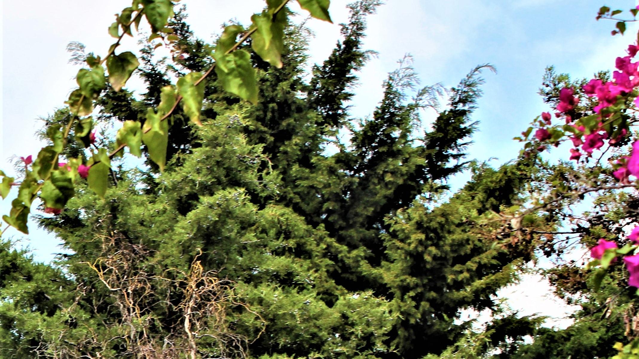 |职场无用功，果真一无是处？