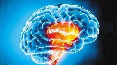 如果大脑只剩一半，它还具备智慧吗？科学家：至少能识字！